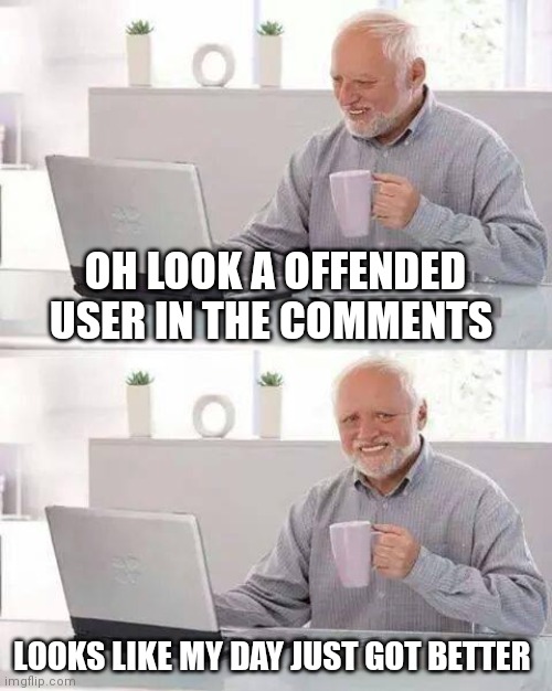 Hide the Pain Harold | OH LOOK A OFFENDED USER IN THE COMMENTS; LOOKS LIKE MY DAY JUST GOT BETTER | image tagged in memes,hide the pain harold | made w/ Imgflip meme maker