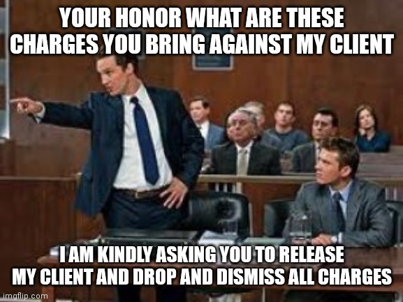 Lawyer Pointing at Witness | YOUR HONOR WHAT ARE THESE CHARGES YOU BRING AGAINST MY CLIENT I AM KINDLY ASKING YOU TO RELEASE MY CLIENT AND DROP AND DISMISS ALL CHARGES | image tagged in lawyer pointing at witness | made w/ Imgflip meme maker