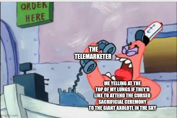 That telemarketer ain't never going to call me again | THE TELEMARKETER; ME YELLING AT THE TOP OF MY LUNGS IF THEY'D LIKE TO ATTEND THE CURSED SACRIFICIAL CEREMONY TO THE GIANT AXOLOTL IN THE SKY | image tagged in no this is patrick | made w/ Imgflip meme maker