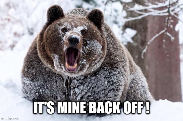 Cocaine bear | IT'S MINE BACK OFF ! | image tagged in cocaine bear | made w/ Imgflip meme maker