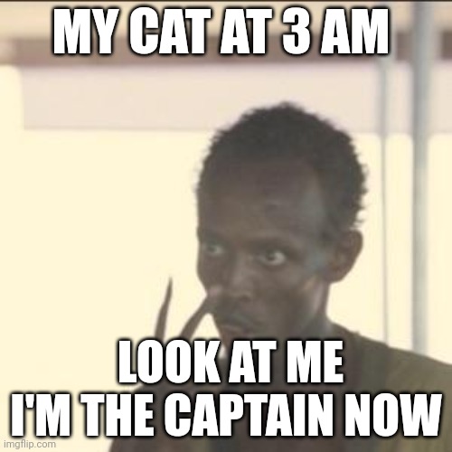 Memes | MY CAT AT 3 AM; LOOK AT ME I'M THE CAPTAIN NOW | image tagged in memes,look at me | made w/ Imgflip meme maker
