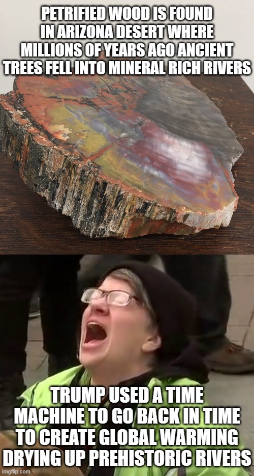 PETRIFIED WOOD IS FOUND IN ARIZONA DESERT WHERE MILLIONS OF YEARS AGO ANCIENT TREES FELL INTO MINERAL RICH RIVERS; TRUMP USED A TIME MACHINE TO GO BACK IN TIME TO CREATE GLOBAL WARMING DRYING UP PREHISTORIC RIVERS | image tagged in petrified wood,crying liberal | made w/ Imgflip meme maker