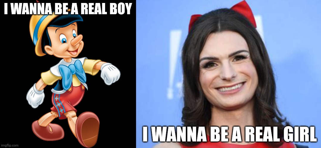 I WANNA BE A REAL BOY; I WANNA BE A REAL GIRL | image tagged in honest pinocchio,dylan mulvaney | made w/ Imgflip meme maker