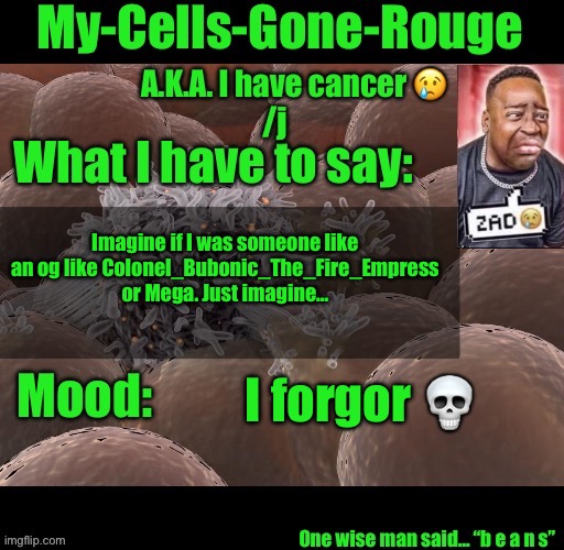 My-Cells-Gone-Rouge announcement | Imagine if I was someone like an og like Colonel_Bubonic_The_Fire_Empress or Mega. Just imagine…; I forgor 💀 | image tagged in my-cells-gone-rouge announcement | made w/ Imgflip meme maker