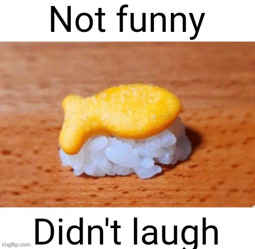 Not funny Didn’t laugh | image tagged in not funny didn t laugh | made w/ Imgflip meme maker