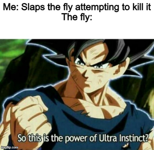 So this is the power of ultra instinct | Me: Slaps the fly attempting to kill it
The fly: | image tagged in so this is the power of ultra instinct | made w/ Imgflip meme maker