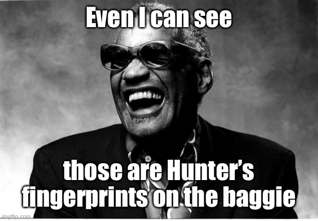 Ray Charles | Even I can see those are Hunter’s fingerprints on the baggie | image tagged in ray charles | made w/ Imgflip meme maker