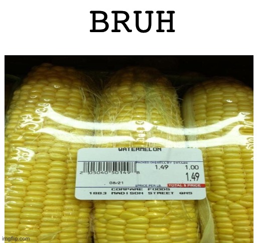 BRUH | image tagged in blank white template | made w/ Imgflip meme maker