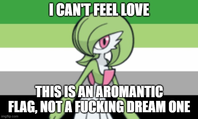 I CAN'T FEEL LOVE THIS IS AN AROMANTIC FLAG, NOT A FUCKING DREAM ONE | made w/ Imgflip meme maker