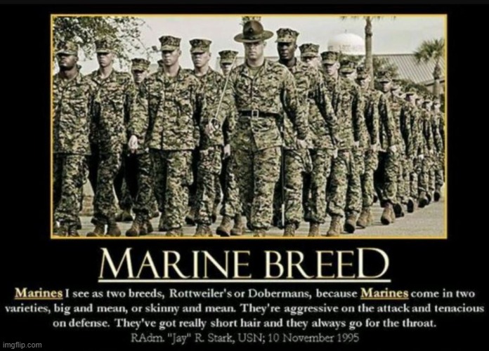 Throat punch works,, | image tagged in marines,marine corps | made w/ Imgflip meme maker