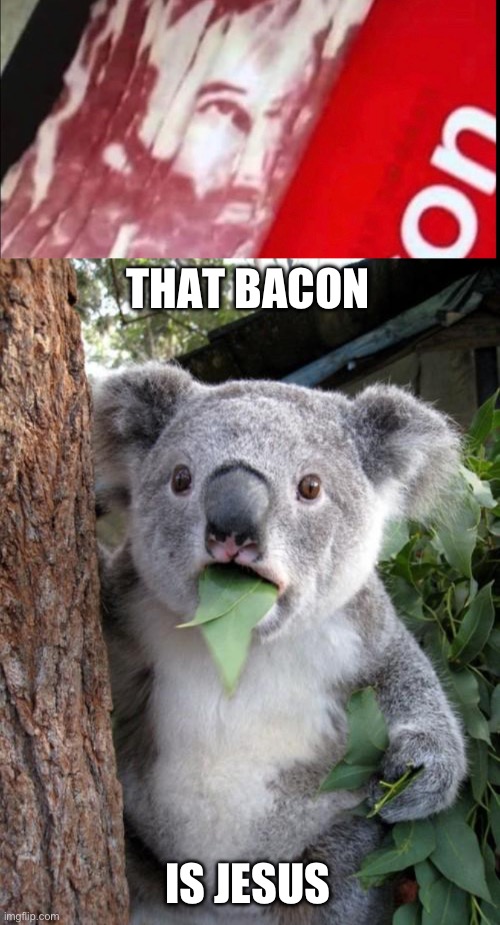 THAT BACON; IS JESUS | image tagged in memes,surprised koala | made w/ Imgflip meme maker