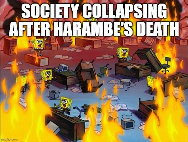 spongebob fire | SOCIETY COLLAPSING AFTER HARAMBE'S DEATH | image tagged in spongebob fire | made w/ Imgflip meme maker