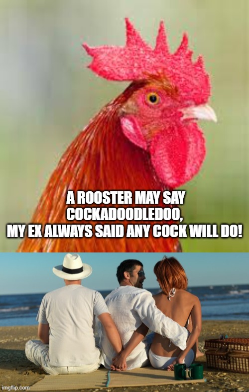 Image Tagged In Rooster Cheat Imgflip