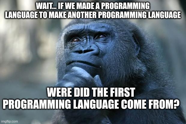 Wait a minute... | WAIT... IF WE MADE A PROGRAMMING LANGUAGE TO MAKE ANOTHER PROGRAMMING LANGUAGE; WERE DID THE FIRST PROGRAMMING LANGUAGE COME FROM? | image tagged in deep thoughts | made w/ Imgflip meme maker