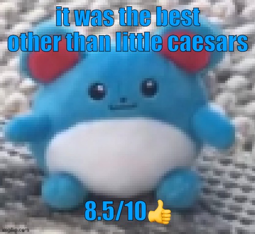 Marill 6 | it was the best other than little caesars; 8.5/10👍 | image tagged in marill 6 | made w/ Imgflip meme maker