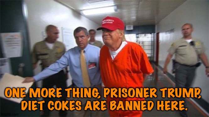 Prison rules | ONE MORE THING, PRISONER TRUMP, 
DIET COKES ARE BANNED HERE. | image tagged in trump prison | made w/ Imgflip meme maker