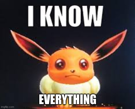 I. Know. Everything. | EVERYTHING | image tagged in i know everything | made w/ Imgflip meme maker