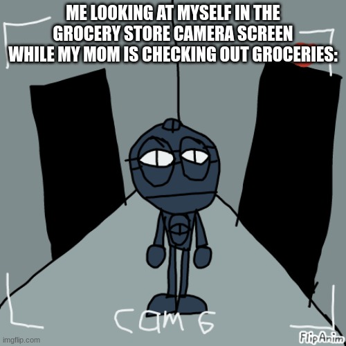 ERATS | ME LOOKING AT MYSELF IN THE GROCERY STORE CAMERA SCREEN WHILE MY MOM IS CHECKING OUT GROCERIES: | image tagged in grocery store | made w/ Imgflip meme maker