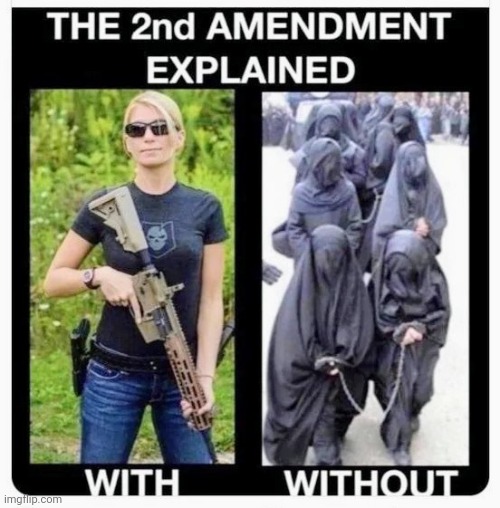 Still don't get it ? | image tagged in gun control,don't miss,the constitution,rights,right to bear arms,legal vs illegal | made w/ Imgflip meme maker