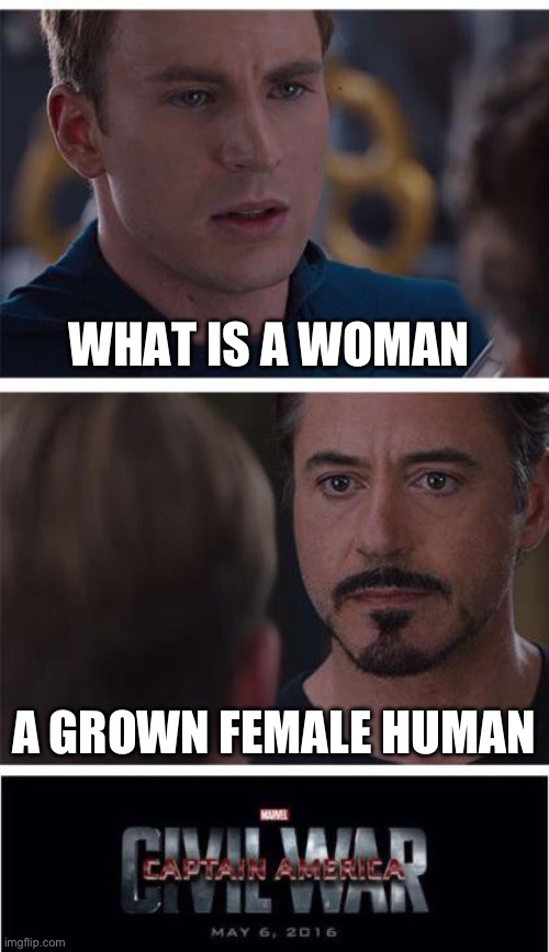 Marvel Civil War 1 | WHAT IS A WOMAN; A GROWN FEMALE HUMAN | image tagged in memes,marvel civil war 1 | made w/ Imgflip meme maker