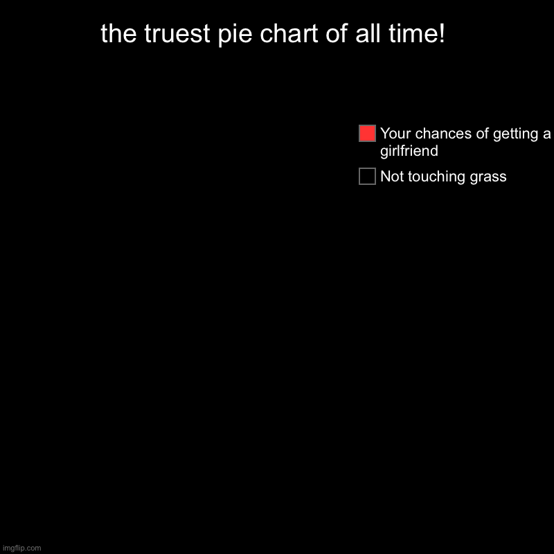 the truest pie chart of all time! | Not touching grass, Your chances of getting a girlfriend | image tagged in charts,pie charts | made w/ Imgflip chart maker