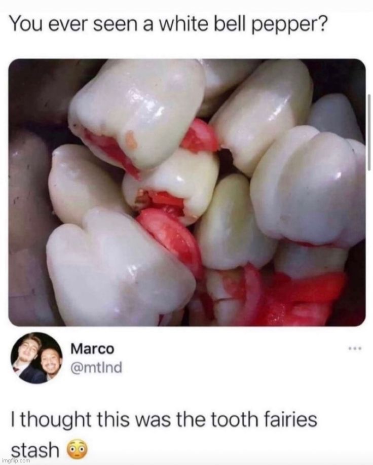 image tagged in memes,funny | made w/ Imgflip meme maker