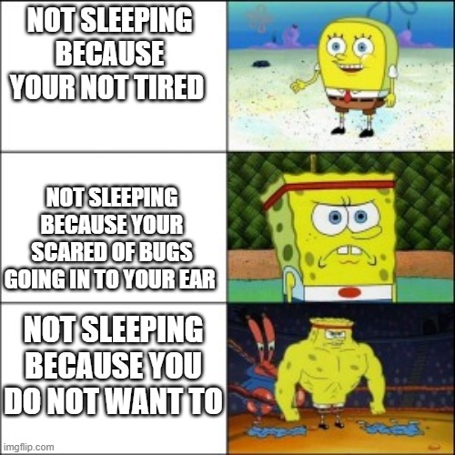 NOT SLEEPING BECAUSE YOUR NOT TIRED; NOT SLEEPING BECAUSE YOUR SCARED OF BUGS GOING IN TO YOUR EAR; NOT SLEEPING BECAUSE YOU DO NOT WANT TO | made w/ Imgflip meme maker