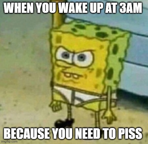 WHEN YOU WAKE UP AT 3AM; BECAUSE YOU NEED TO PISS | made w/ Imgflip meme maker