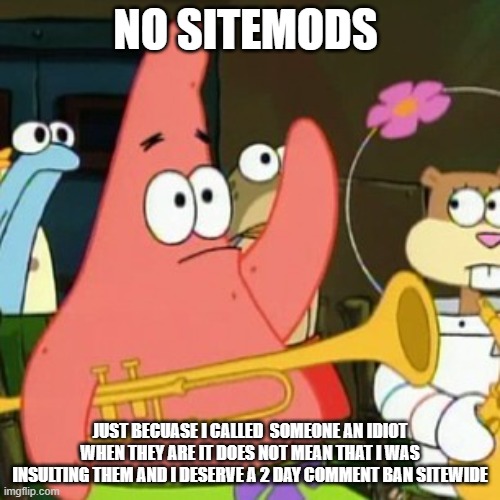 No Patrick | NO SITEMODS; JUST BECUASE I CALLED  SOMEONE AN IDIOT WHEN THEY ARE IT DOES NOT MEAN THAT I WAS INSULTING THEM AND I DESERVE A 2 DAY COMMENT BAN SITEWIDE | image tagged in memes,no patrick | made w/ Imgflip meme maker