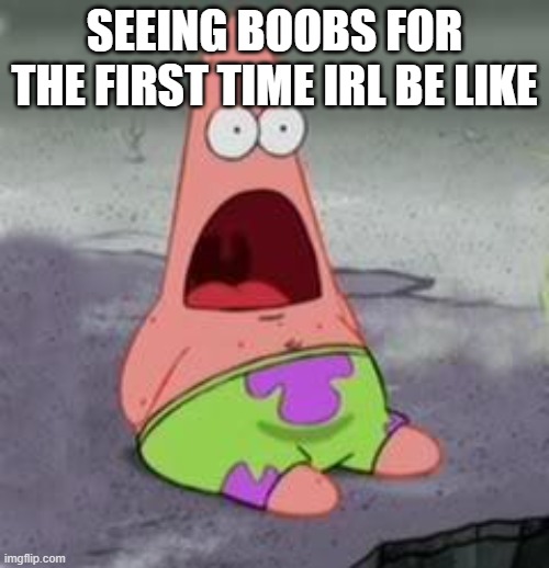 Suprised Patrick | SEEING BOOBS FOR THE FIRST TIME IRL BE LIKE | image tagged in suprised patrick | made w/ Imgflip meme maker