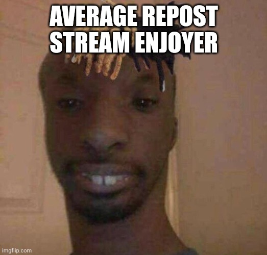 when you | AVERAGE REPOST STREAM ENJOYER | image tagged in when you | made w/ Imgflip meme maker