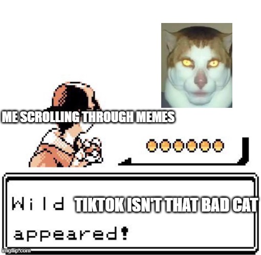 (no comment) | ME SCROLLING THROUGH MEMES; TIKTOK ISN'T THAT BAD CAT | image tagged in blank wild pokemon appears | made w/ Imgflip meme maker