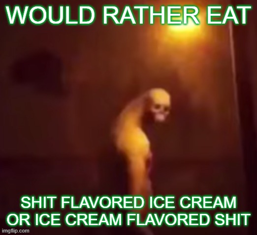Your IP Address Is On The Internet | WOULD RATHER EAT; SHIT FLAVORED ICE CREAM OR ICE CREAM FLAVORED SHIT | image tagged in your ip address is on the internet | made w/ Imgflip meme maker
