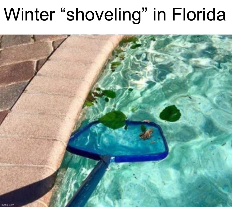 Scooping garbage out of the pool | Winter “shoveling” in Florida | image tagged in memes,funny,true story,relatable memes,winter,pool | made w/ Imgflip meme maker