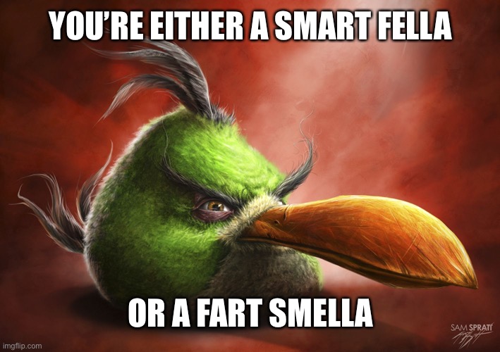 Upvote if you are a smart fella | YOU’RE EITHER A SMART FELLA; OR A FART SMELLA | image tagged in realistic angry bird | made w/ Imgflip meme maker