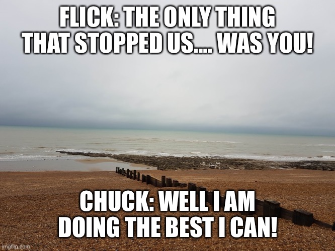 Chuck chicken argument scene (Remake) | FLICK: THE ONLY THING THAT STOPPED US…. WAS YOU! CHUCK: WELL I AM DOING THE BEST I CAN! | image tagged in see shore | made w/ Imgflip meme maker