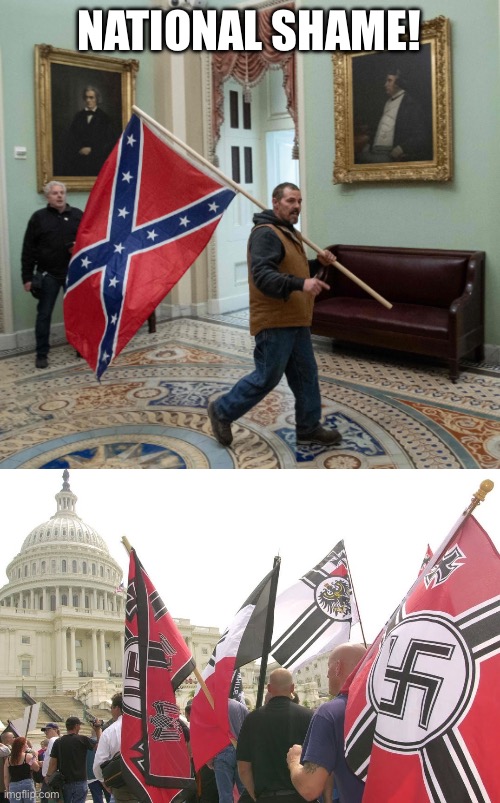 NATIONAL SHAME! | image tagged in capitol break in confederate flag cropped,nazis neo-nazi flags parade capitol washington dc | made w/ Imgflip meme maker