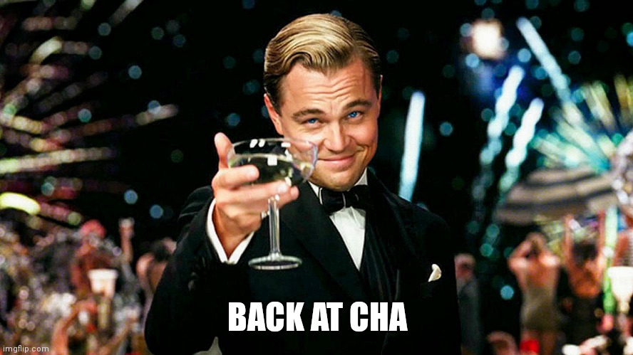 Leo Decaprio Toasting Cheers Salute with a Glass of Champagne 4K | BACK AT CHA | image tagged in leo decaprio toasting cheers salute with a glass of champagne 4k | made w/ Imgflip meme maker