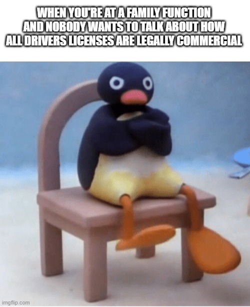 Drivers licenses | WHEN YOU'RE AT A FAMILY FUNCTION AND NOBODY WANTS TO TALK ABOUT HOW ALL DRIVERS LICENSES ARE LEGALLY COMMERCIAL | image tagged in angry penguin,drivers licenses | made w/ Imgflip meme maker