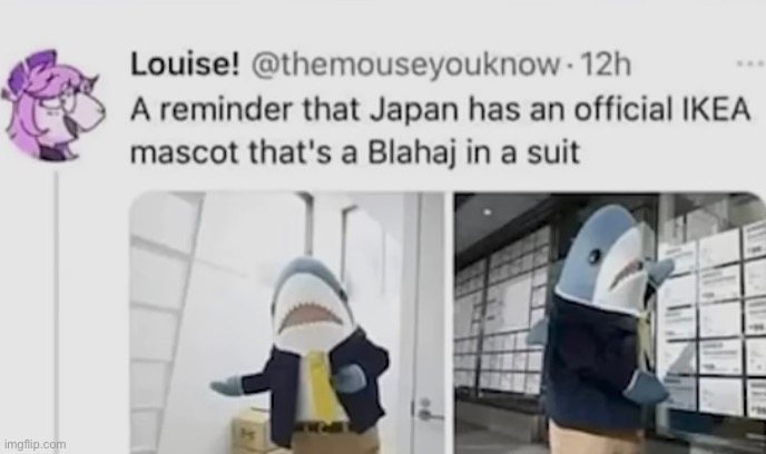 i love this so much (in case you don’t get it, the blahaj plush is very popular among trans peeps) | image tagged in blahaj | made w/ Imgflip meme maker
