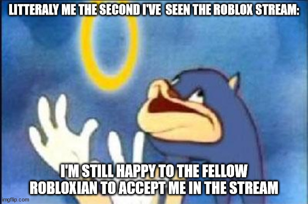 For the roblox stream | LITTERALY ME THE SECOND I'VE  SEEN THE ROBLOX STREAM:; I'M STILL HAPPY TO THE FELLOW ROBLOXIAN TO ACCEPT ME IN THE STREAM | image tagged in sonic derp | made w/ Imgflip meme maker