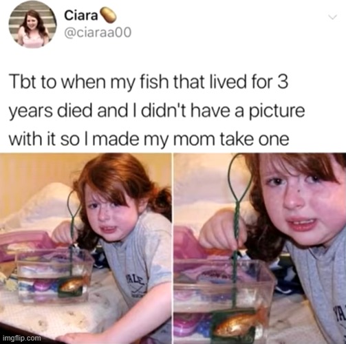 image tagged in throwback thursday,goldfish,death,picture | made w/ Imgflip meme maker