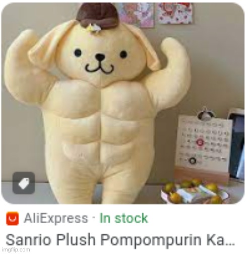 Only in AliExpress | image tagged in cursed,pompompurin,aliexpress,weird,memes | made w/ Imgflip meme maker