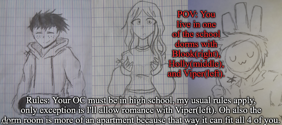 All 3 drawings by ShadowSkul. | POV: You live in one of the school dorms with Blook(right), Holly(middle), and Viper(left). Rules: Your OC must be in high school, my usual rules apply, only exception is I'll allow romance with Viper(left). Oh also the dorm room is more of an apartment because that way it can fit all 4 of you. | image tagged in viper,holly,blook | made w/ Imgflip meme maker