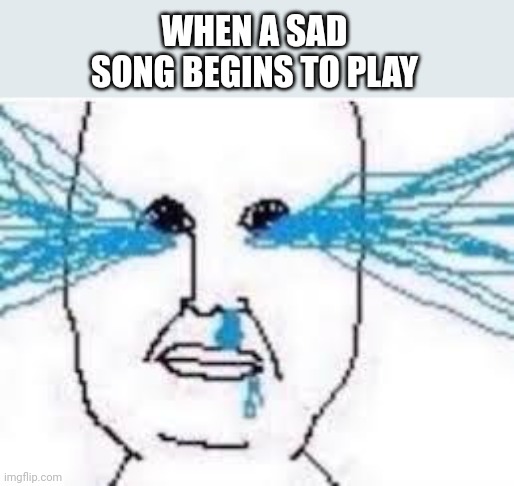 Cry | WHEN A SAD SONG BEGINS TO PLAY | image tagged in cry | made w/ Imgflip meme maker