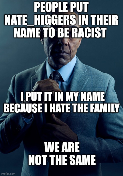 Gus Fring we are not the same | PEOPLE PUT NATE_HIGGERS IN THEIR NAME TO BE RACIST I PUT IT IN MY NAME BECAUSE I HATE THE FAMILY WE ARE NOT THE SAME | image tagged in gus fring we are not the same | made w/ Imgflip meme maker