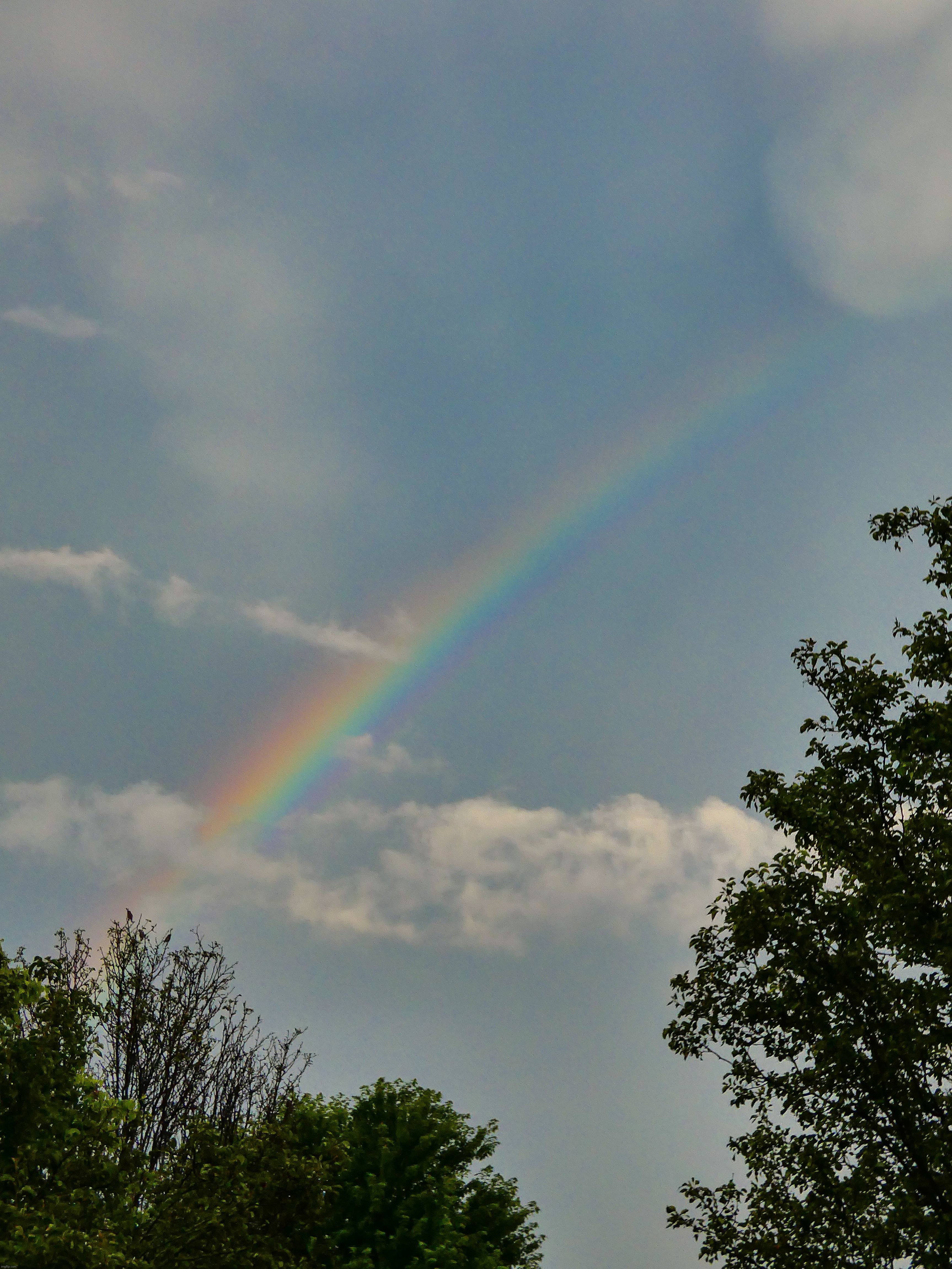 A rainbow after a passing shower | image tagged in share your own photos,lumix fz80,photography | made w/ Imgflip meme maker