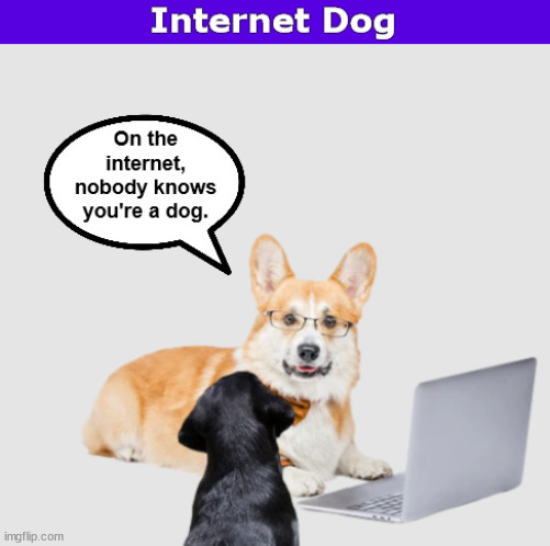 Internet Dog | image tagged in dog,dogs,internet,corgi,funny,memes | made w/ Imgflip meme maker