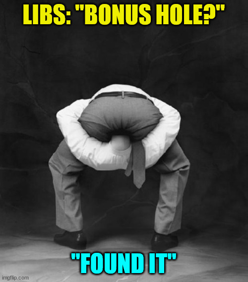 Head Up Ass | LIBS: "BONUS HOLE?" "FOUND IT" | image tagged in head up ass | made w/ Imgflip meme maker