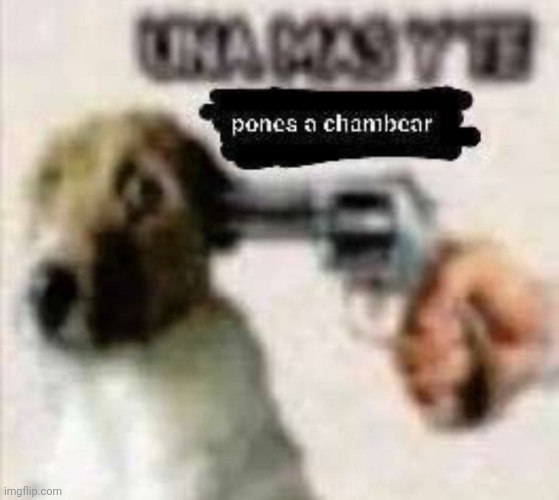 I hope this doesn't count as animal abuse | made w/ Imgflip meme maker